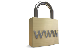 Web Secuirty